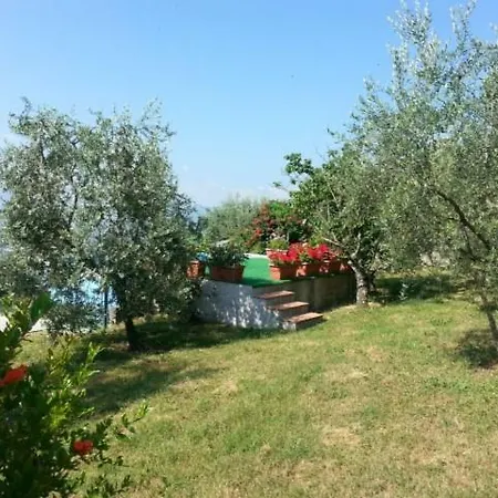 Terzi فيلة